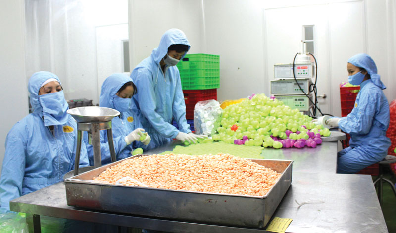 Bắc Ninh - Thực hiện tốt Tổng điều tra kinh tế năm 2021